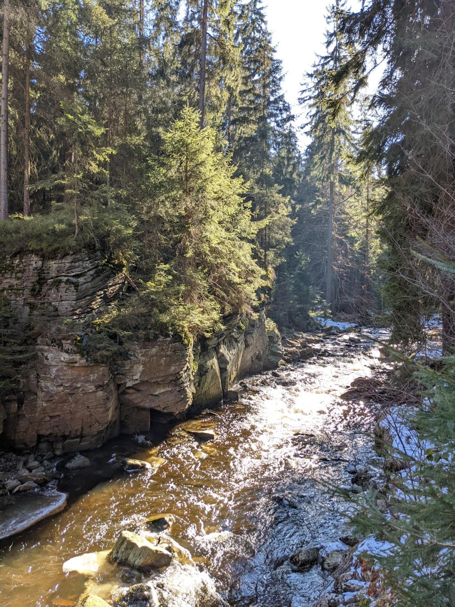 Ferienwohnung Muehl - Einfach Wohlfuehlen マリエンベルク エクステリア 写真